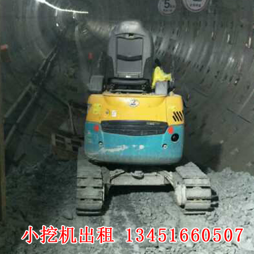 微型小挖機(jī)租賃的應(yīng)用廣泛，今天帶大家來了解一下！(圖1)